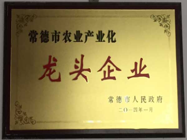 龙头企业